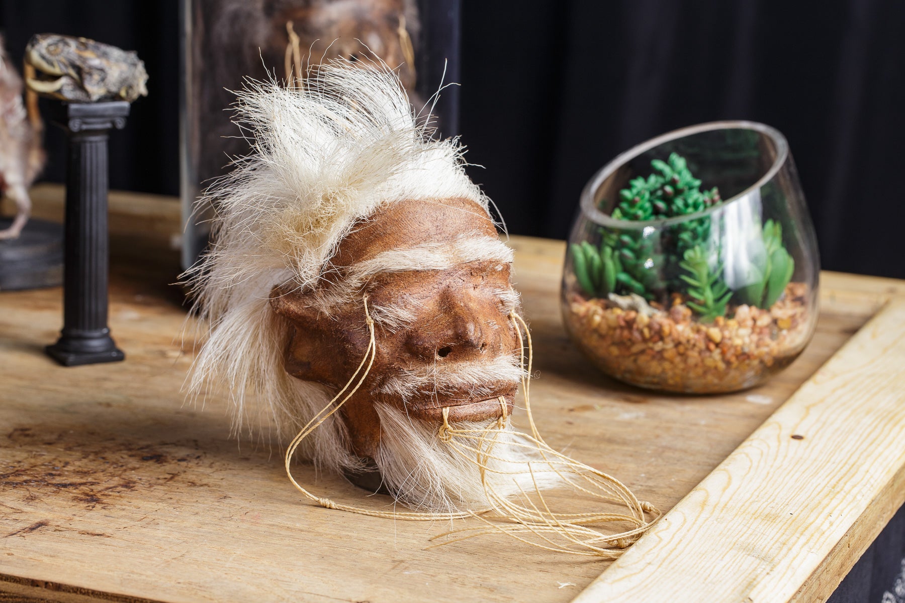 Shrunken store Head Replica