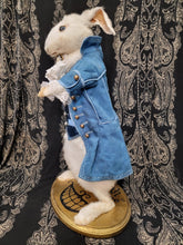 Load image into Gallery viewer, White Rabbit Taxidermy
