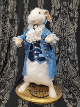 Load image into Gallery viewer, White Rabbit Taxidermy
